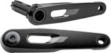 SRAM Rival Crank Arm Assembly - 175mm 12/13-Speed 8-Bolt Direct Mount DUB Spindle Black E1