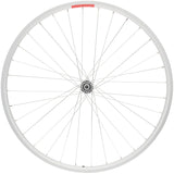 Sta-Tru Double Wall Front Wheel - 24 Bolt-On 3/8 x 100mm Silver